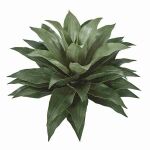 28" Deluxe Outdoor Agave Cactus Plant - Image 2