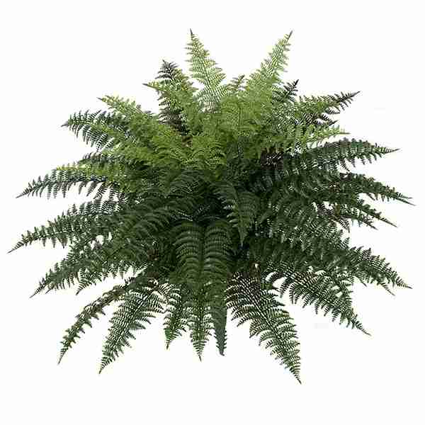Polyblend® 34 Inch x 26 Inch Large Ruffle Fern