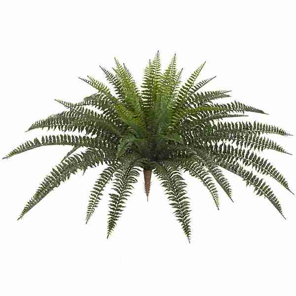 Polyblend® 30 Inch Outdoor Boston Fern