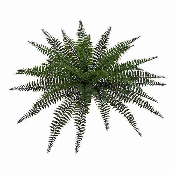 Polyblend® 23 Inch Outdoor Boston Fern
