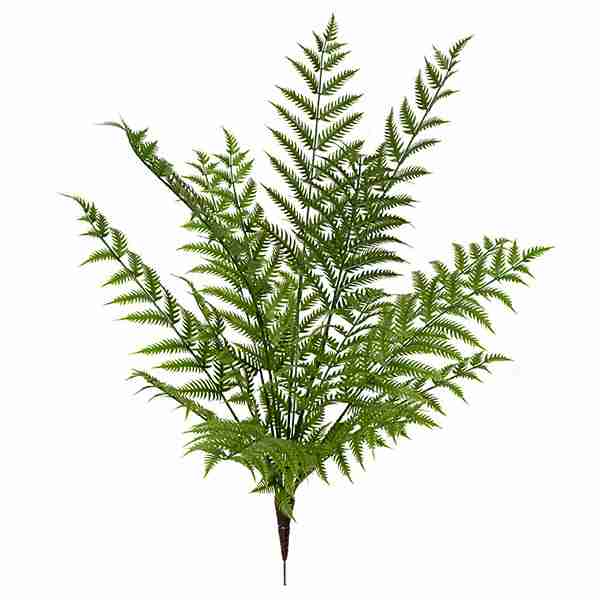 Polyblend® 46 Inch Outdoor Woodwardia Fern