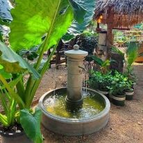 Campania Avignon Fountain - Image 8