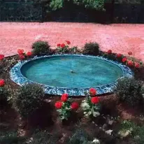 Frog and Turtle Basin - Image 2